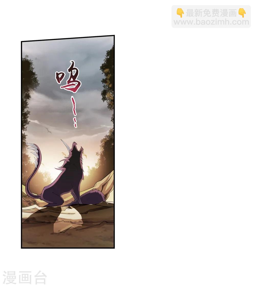 🍼斗破苍穹之大主宰 第44话 这就是母亲 第11页