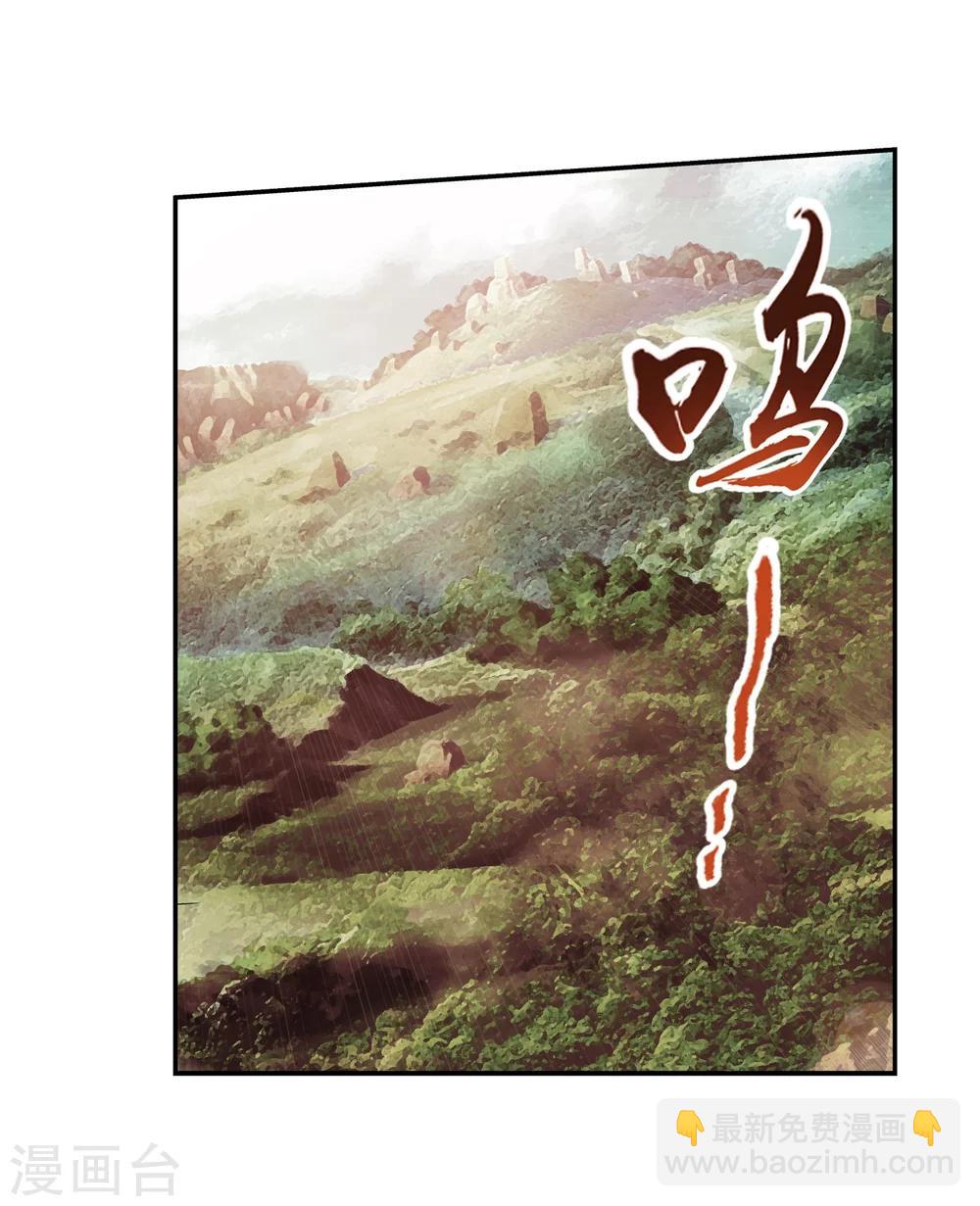 🍼斗破苍穹之大主宰 第44话 这就是母亲 第12页