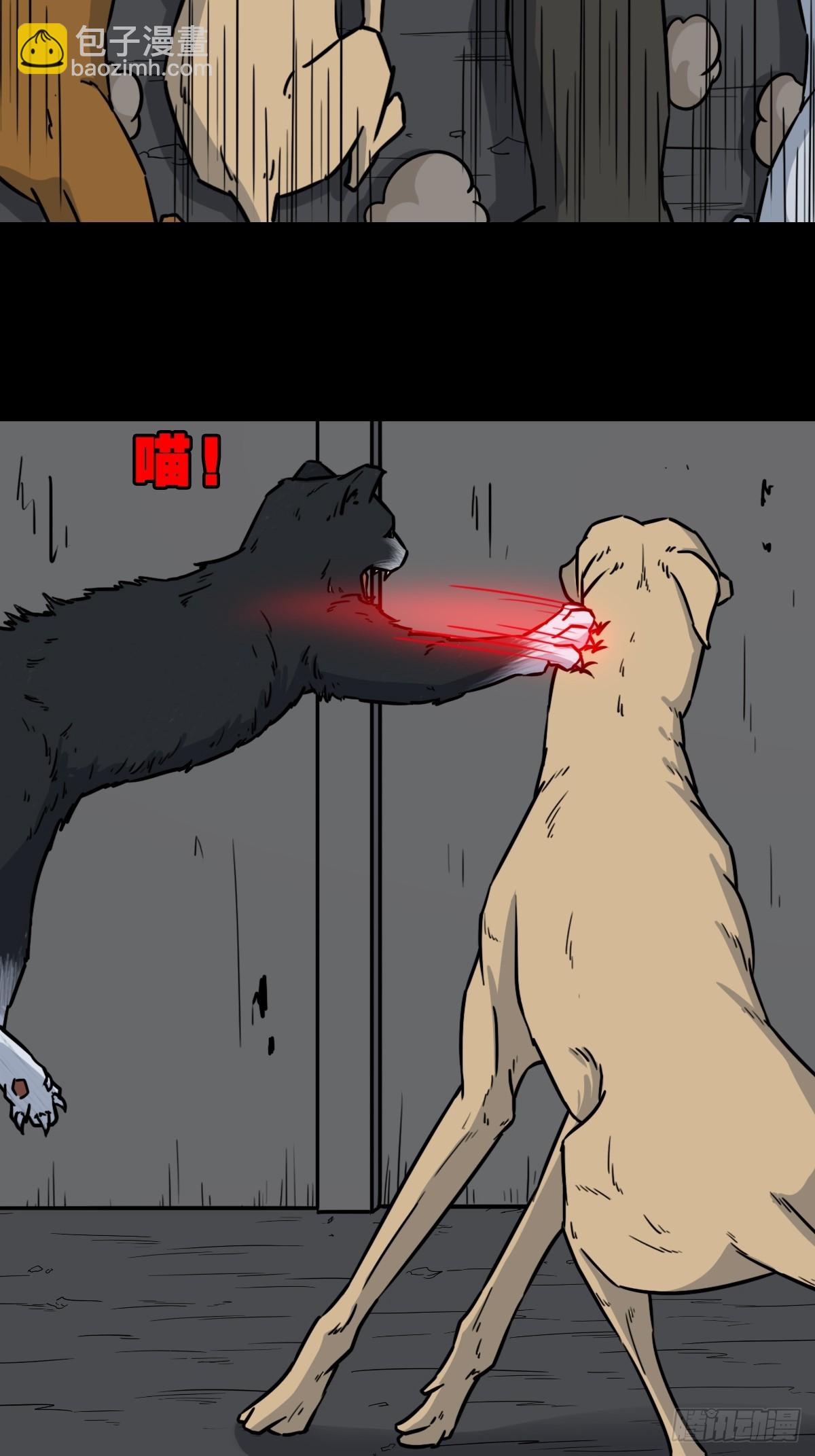 🍼斗厌神 猫狗斗 第30页