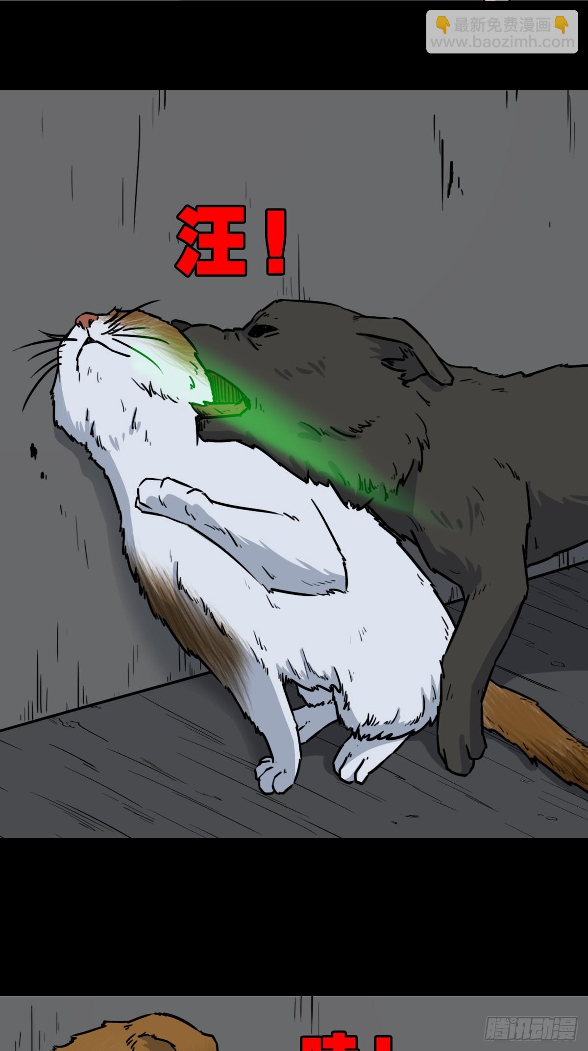 🍼斗厌神 猫狗斗 第31页