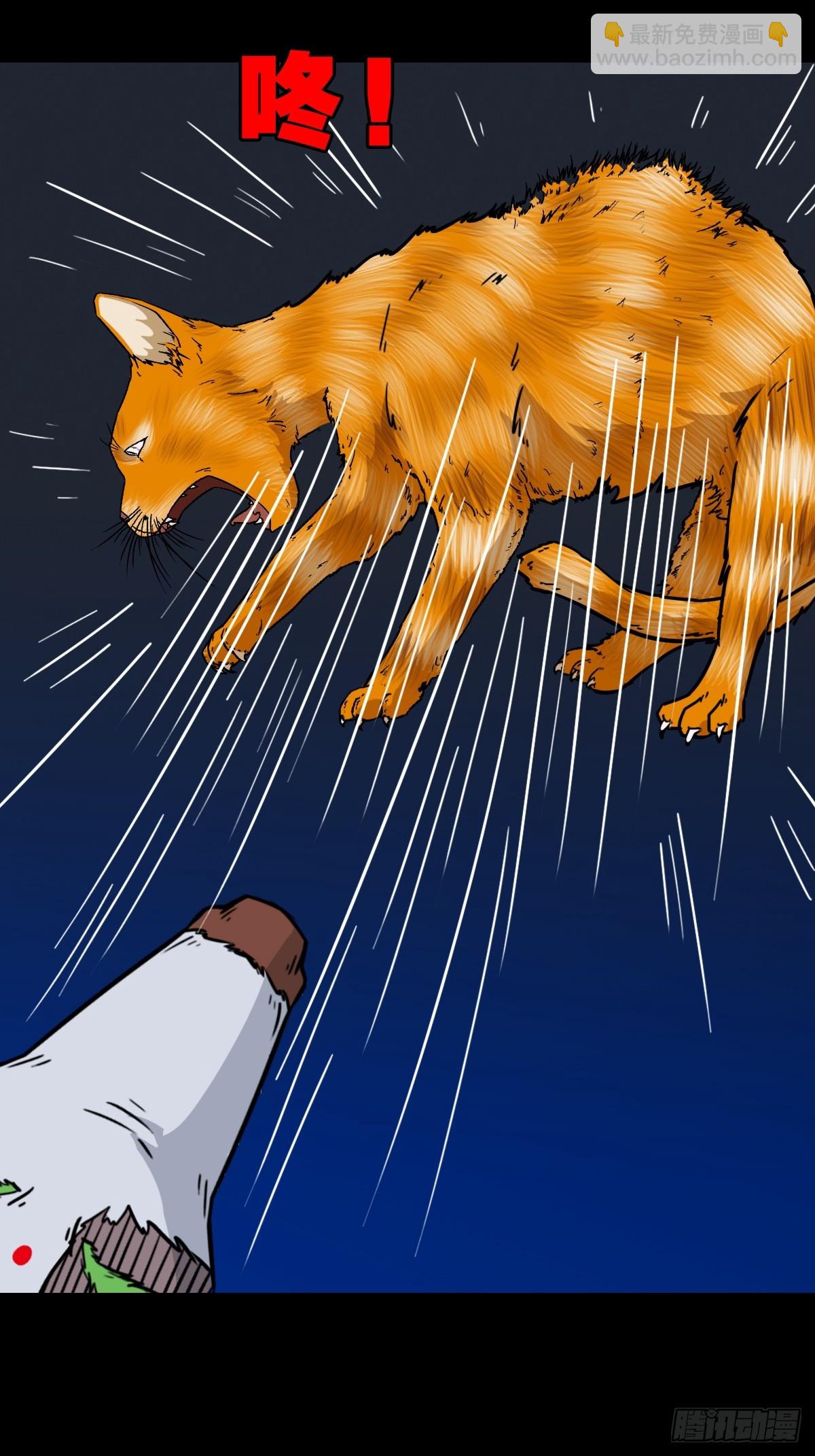 🍼斗厌神 猫狗斗 第42页