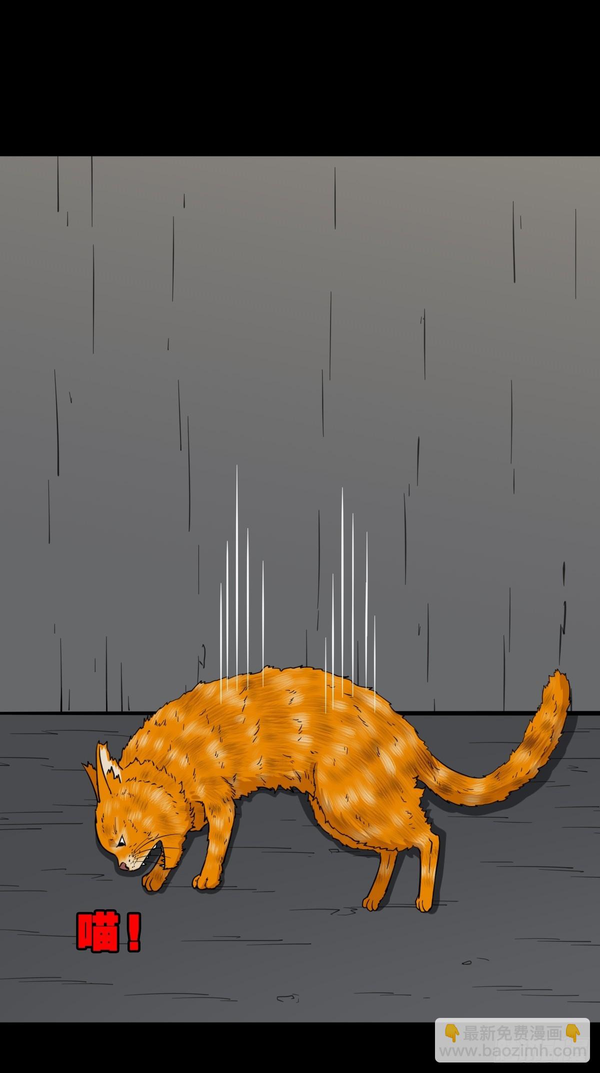 🍼斗厌神 猫狗斗 第43页