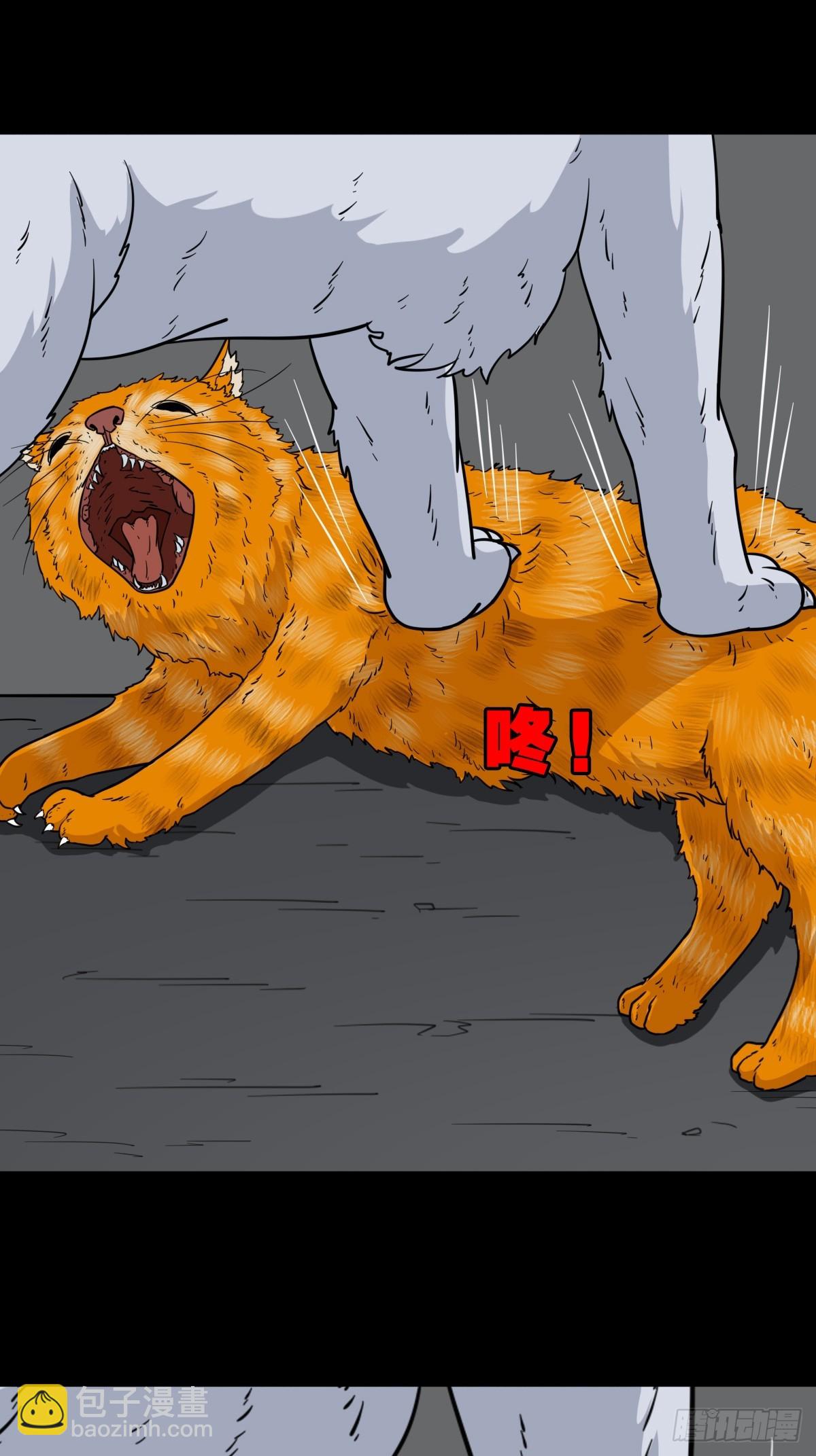 🍼斗厌神 猫狗斗 第44页