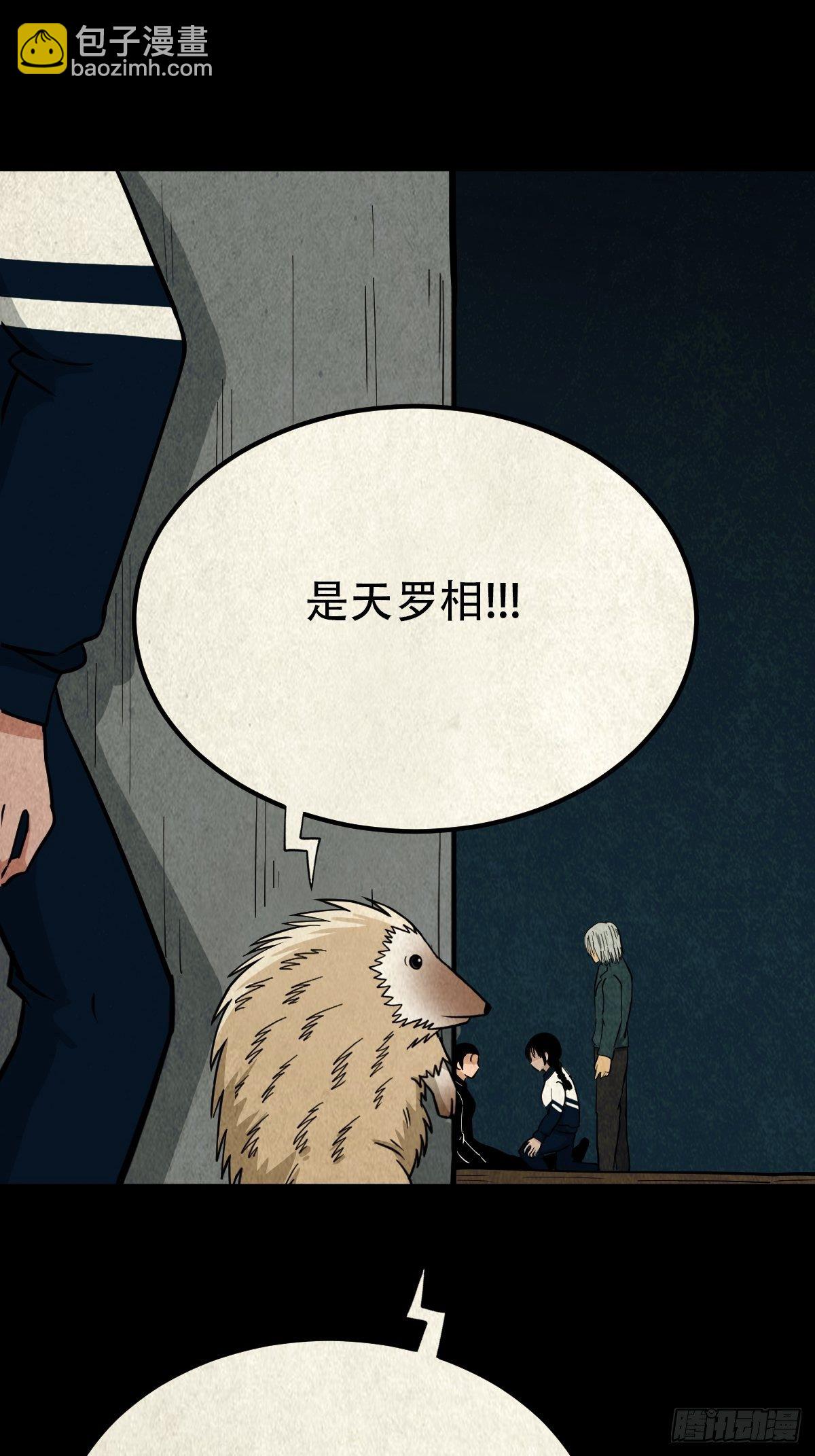 🍼斗厌神 败退天罗 第13页