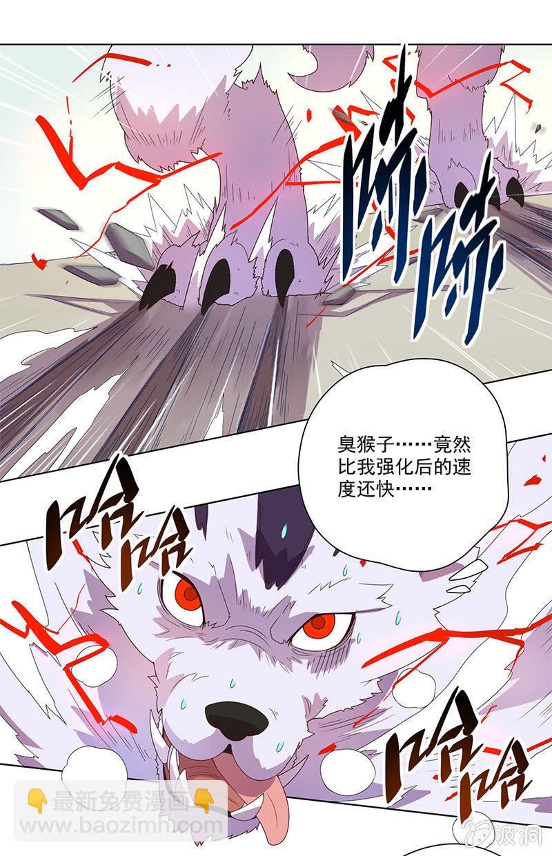 第1话 斗战胜佛-第2话
