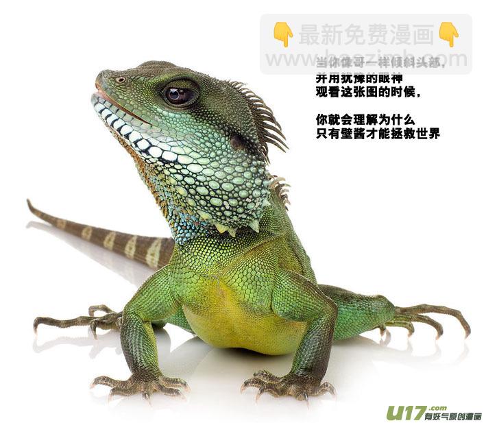 🍼端脑 40）一起进入 第19页