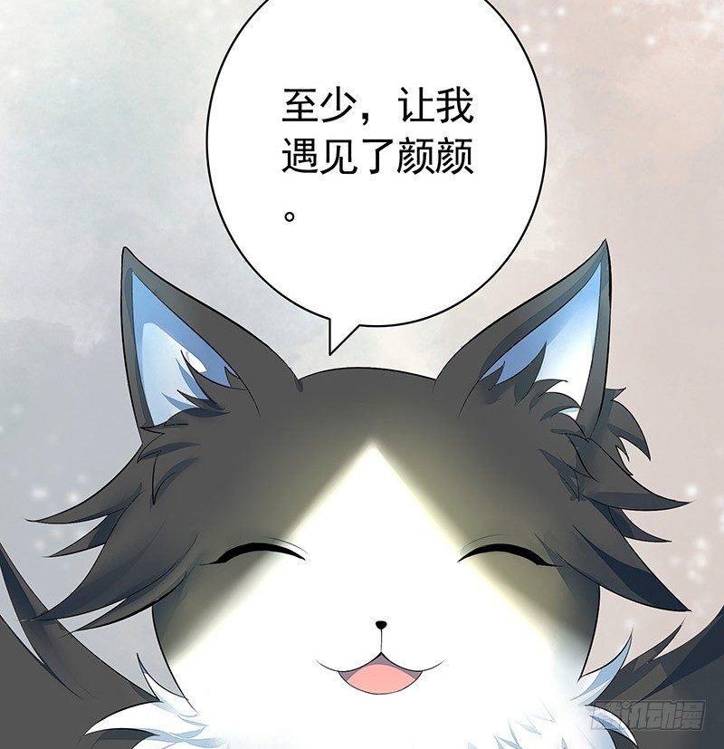 你可记得一只从天而降的大猫-第16话