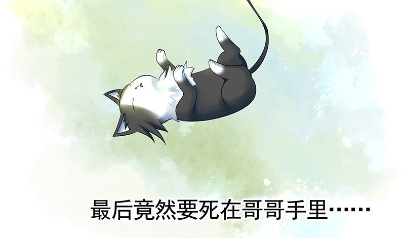 你可记得一只从天而降的大猫-第16话