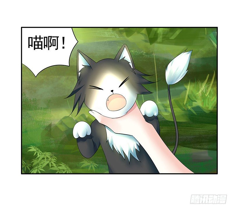 女人你这是在玩猫-第20话