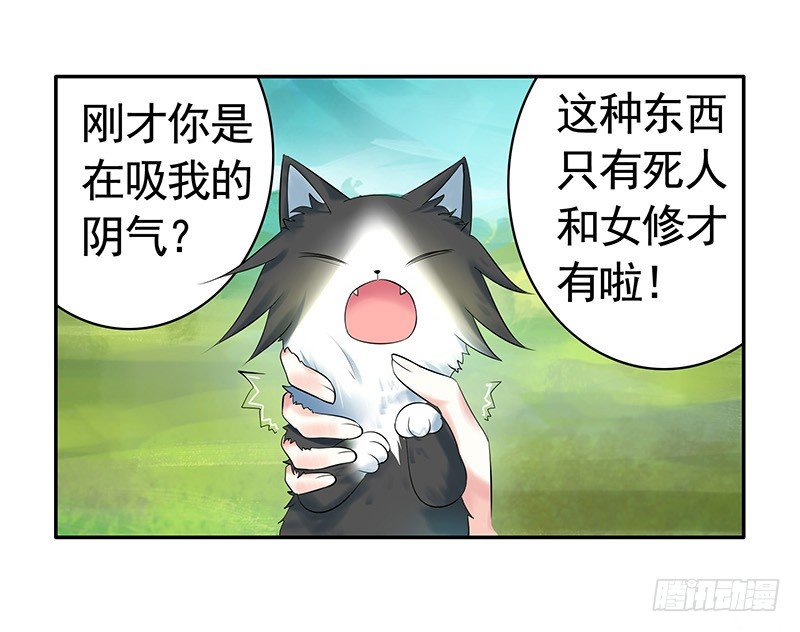 女人你这是在玩猫-第20话
