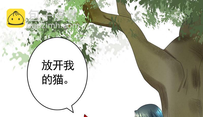 女人你这是在玩猫-第20话