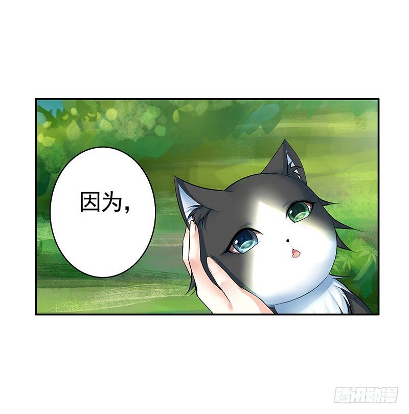 女人你这是在玩猫-第20话