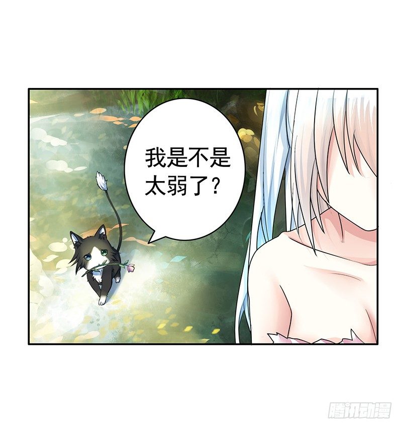 女人你这是在玩猫-第20话