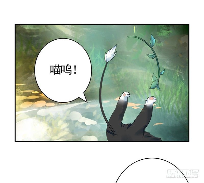 女人你这是在玩猫-第20话