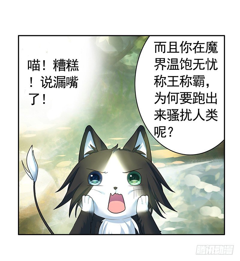 女人你这是在玩猫-第20话