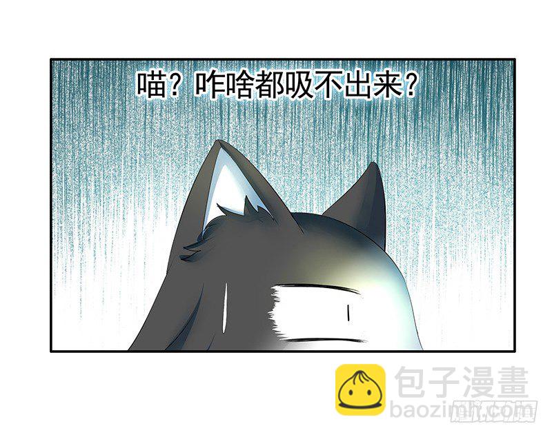 女人你这是在玩猫-第20话