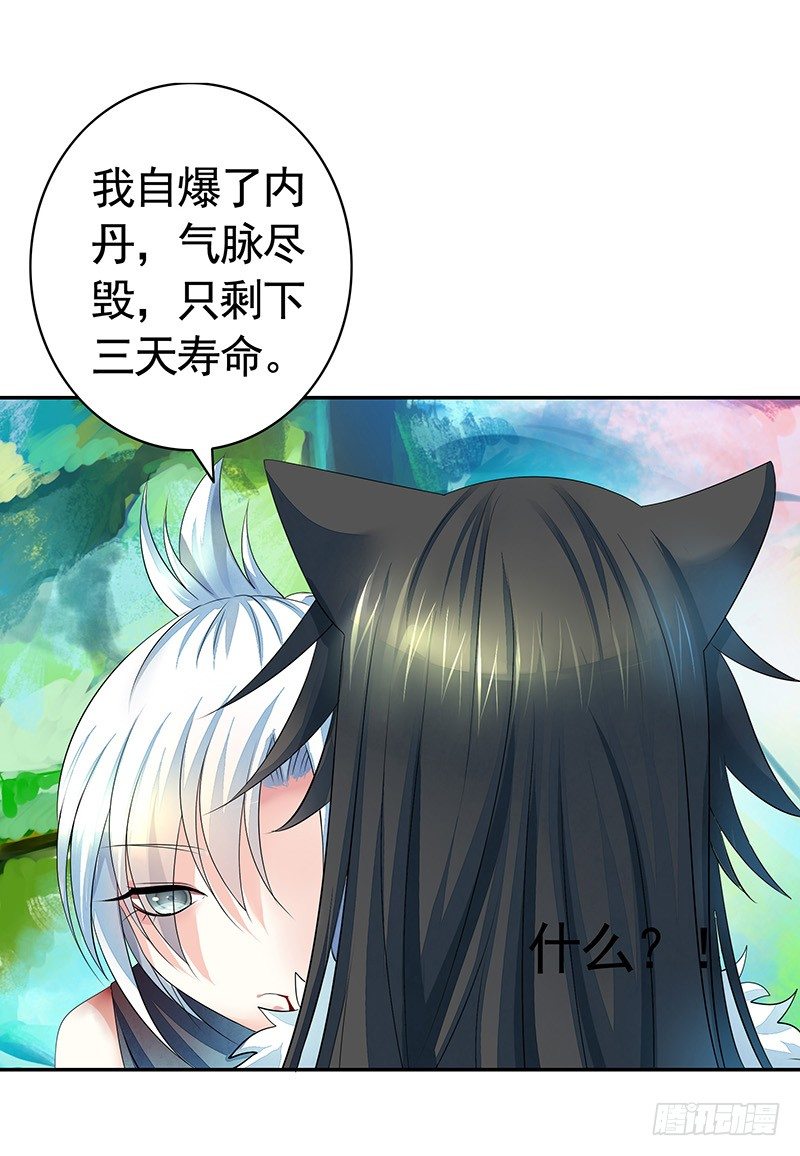 死前让我撸只猫-第4话