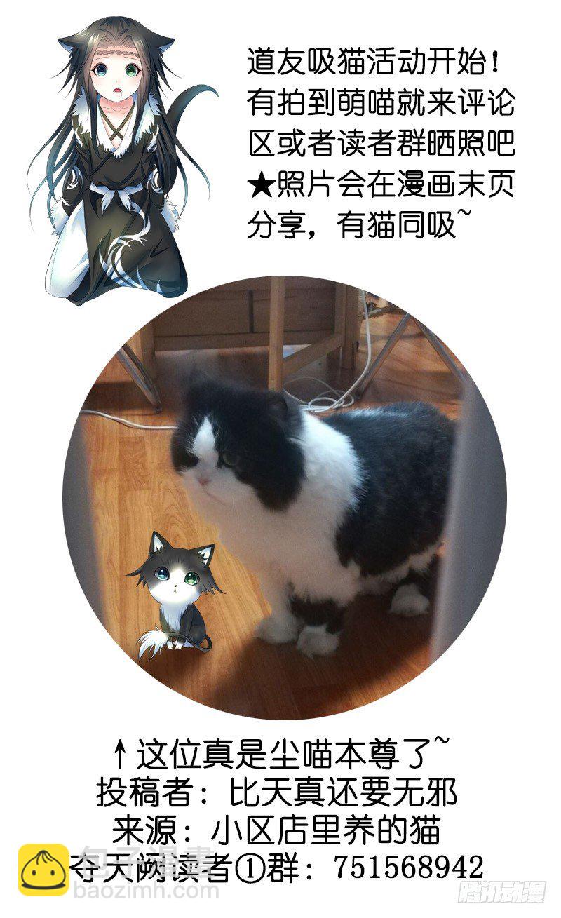 死前让我撸只猫-第4话