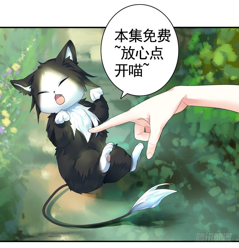 本集免费，一起吸猫！-第34话