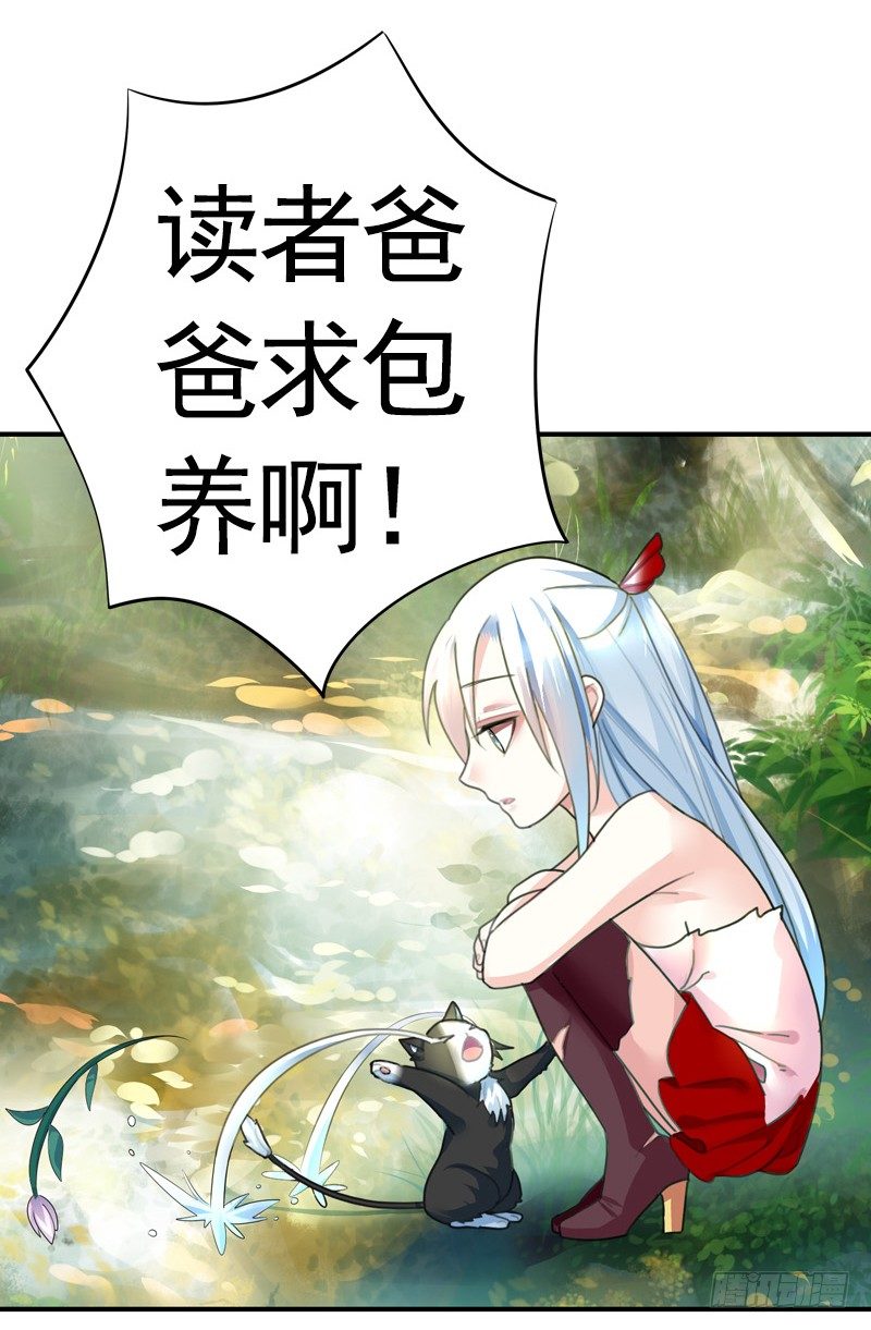 本集免费，一起吸猫！-第34话