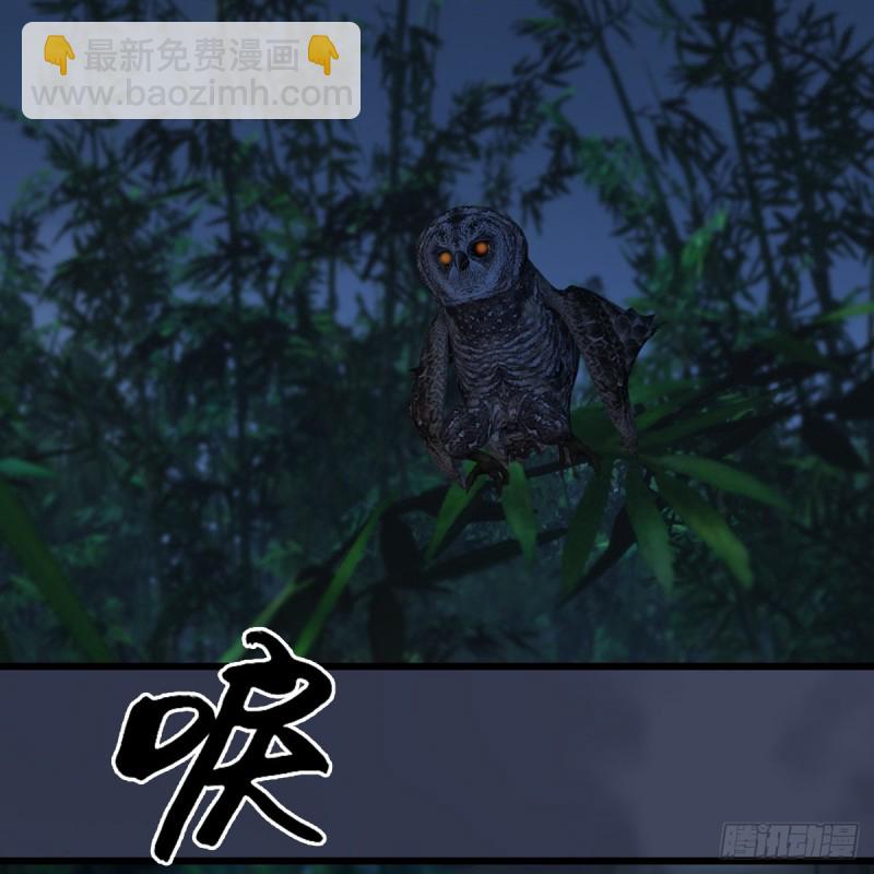 🍼堕玄师 第411话：天肖虎 第12页