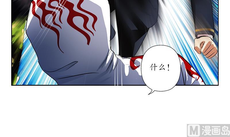 🍼都市极品仙医 第250话 战白卧虎 第24页