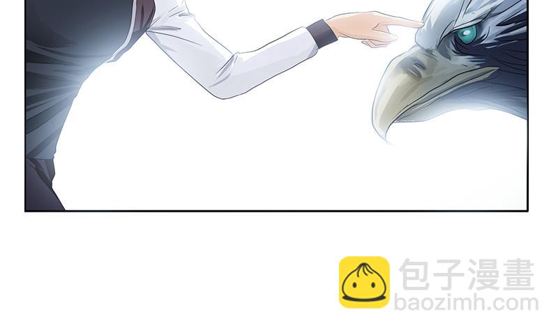 🍼都市极品仙医 第328话 灵兽 第37页