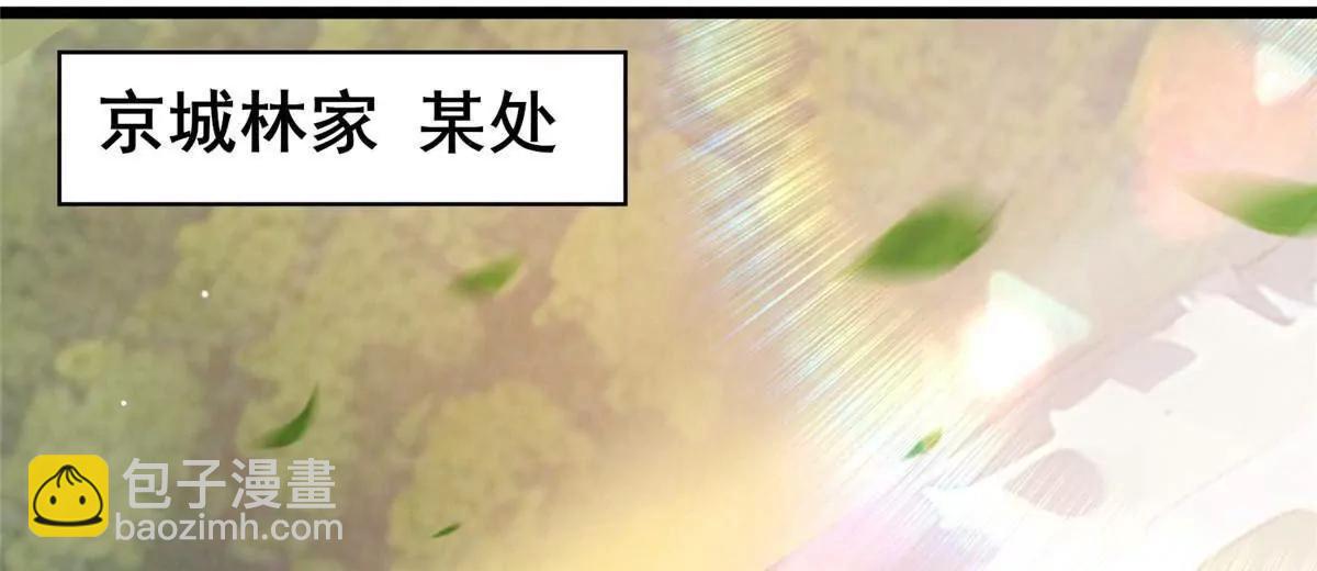 🍼都市极品医神 225 黑色石头 第25页