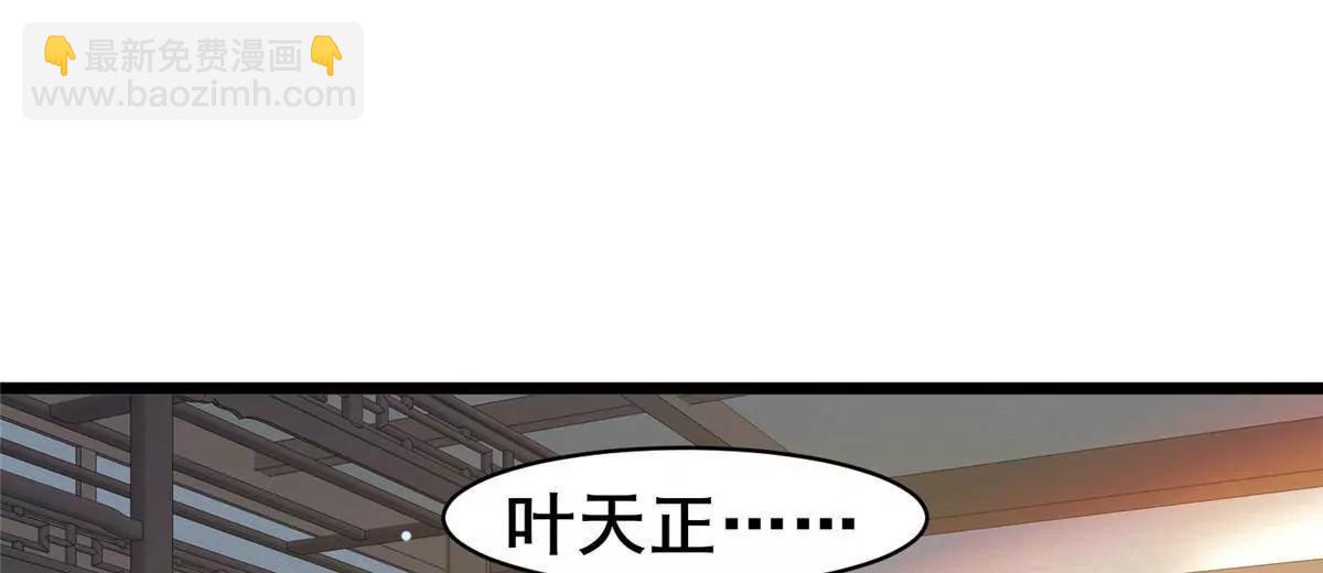🍼都市极品医神 225 黑色石头 第27页