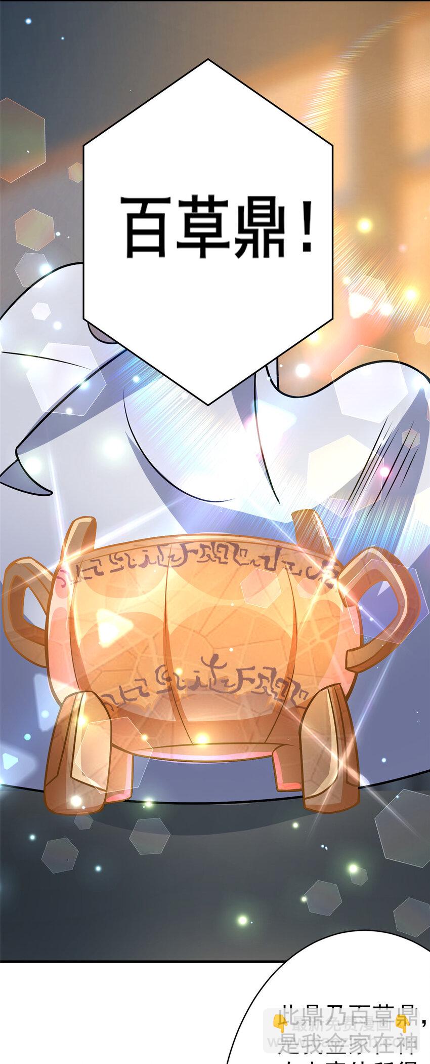 🍼都市极品医神 049 百草鼎 第11页