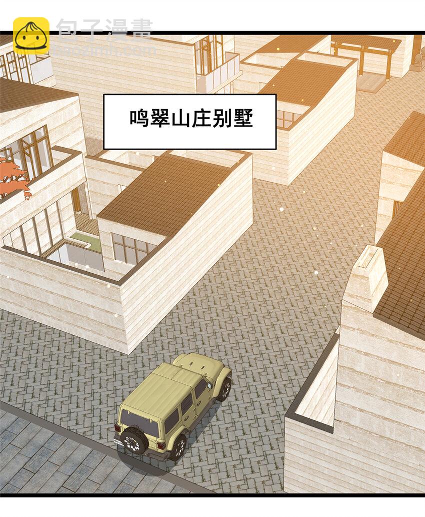 🍼都市极品医神 093 乌家家主 第37页