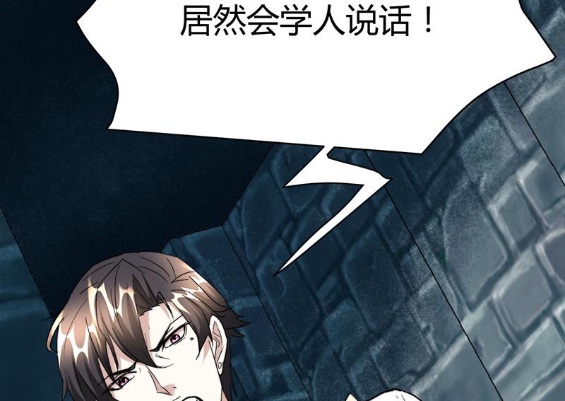 🍼都市狂少 第46话 黄皮子说人话！ 第20页