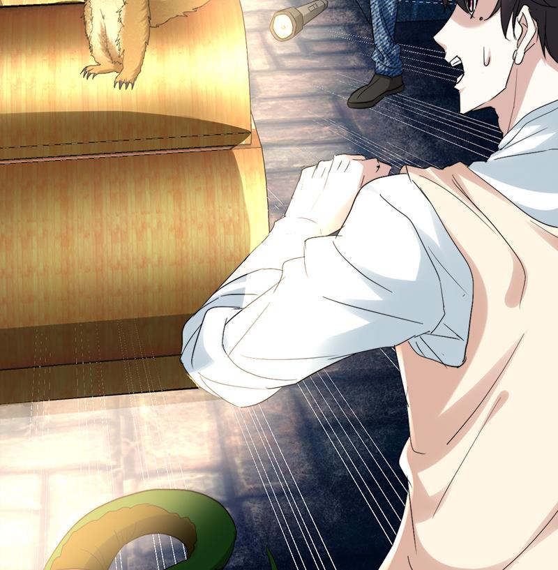 🍼都市狂少 第46话 黄皮子说人话！ 第5页