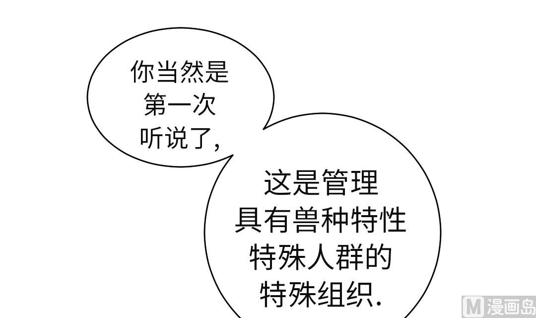 🍼都市兽种 第44话 秘密任务 第36页