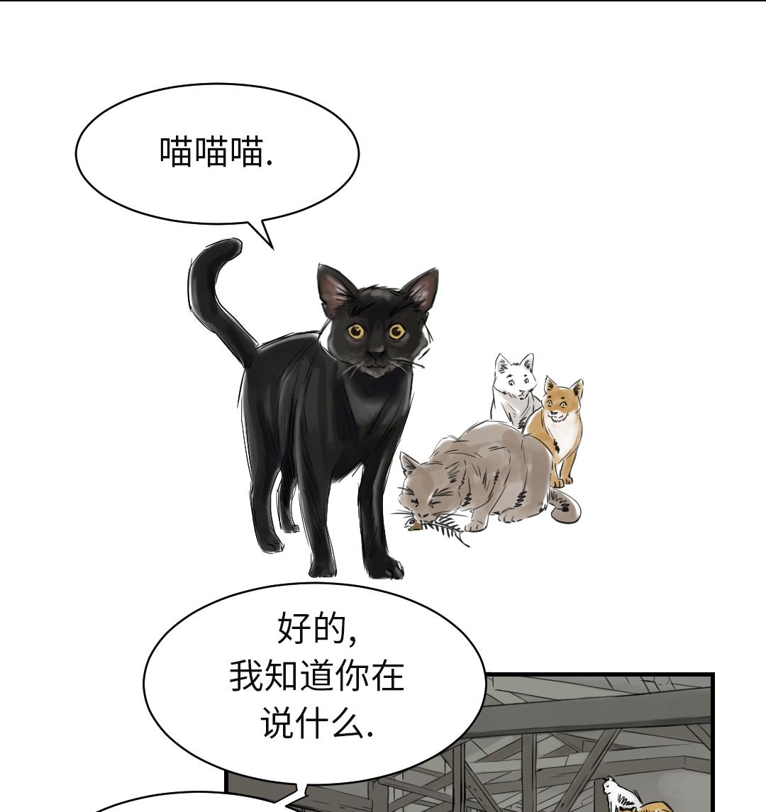 🍼都市兽种 第78话 刺杀行动 第35页
