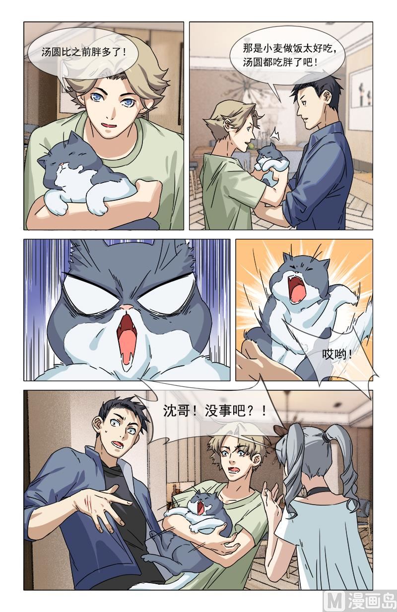 🍼都市夜归人 虎头戒指 第12页