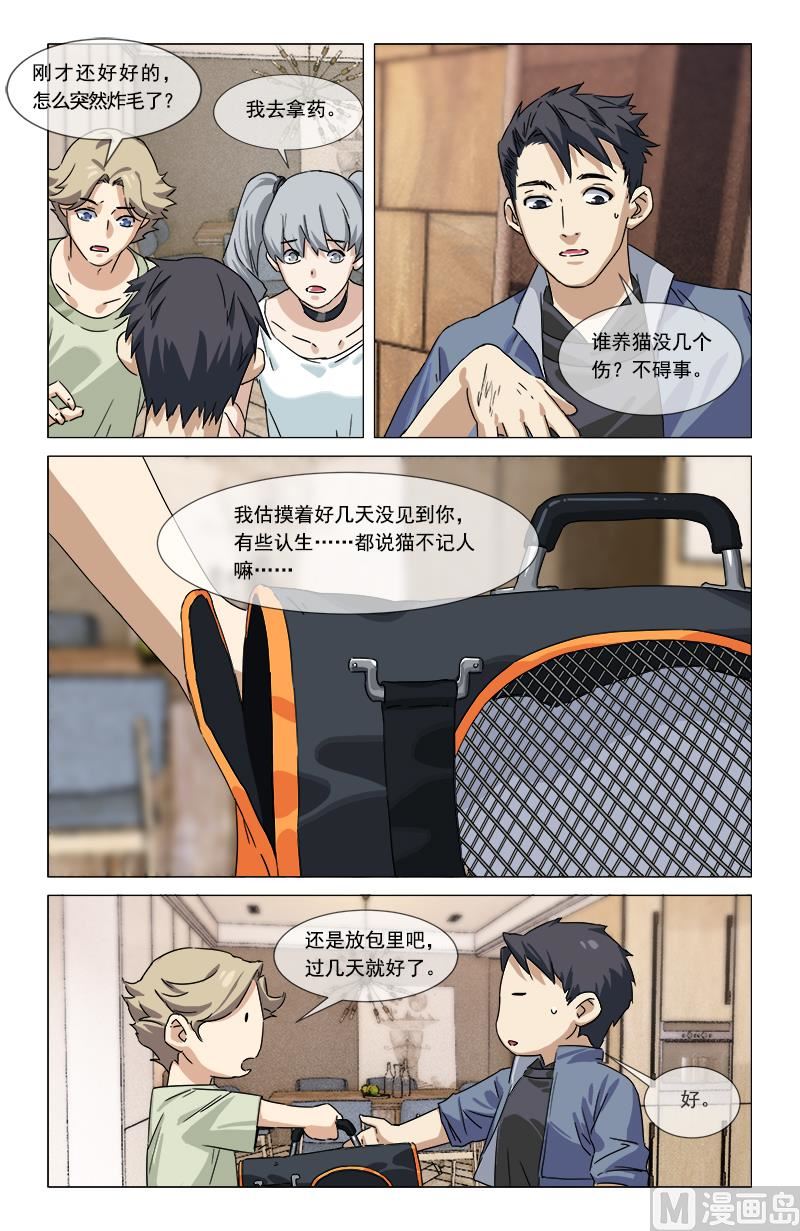 🍼都市夜归人 虎头戒指 第13页