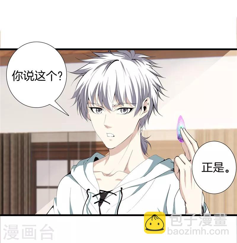 🍼都市至尊 第85话 无价之宝 第10页