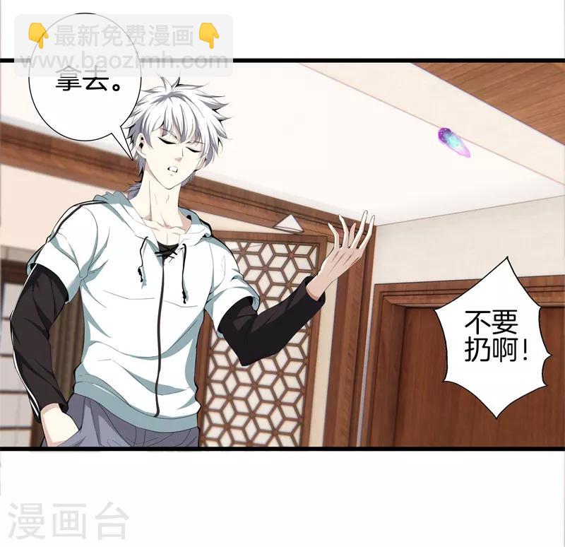 🍼都市至尊 第85话 无价之宝 第11页