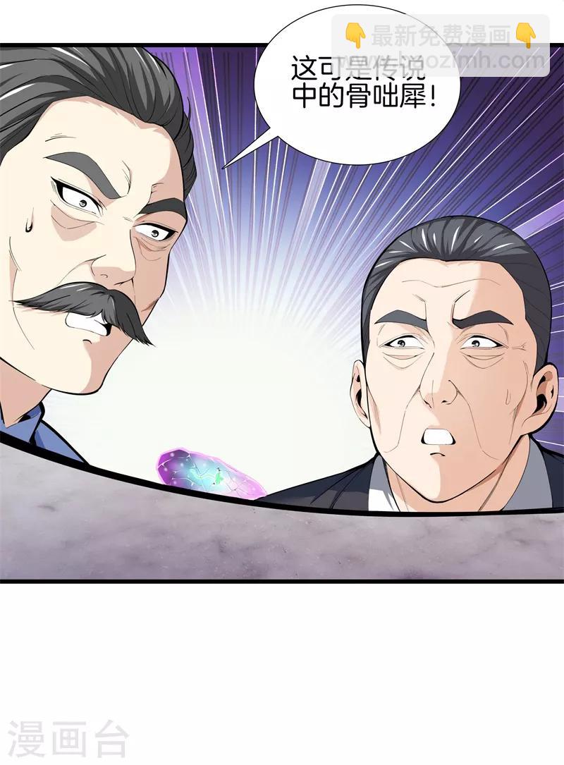 🍼都市至尊 第85话 无价之宝 第12页