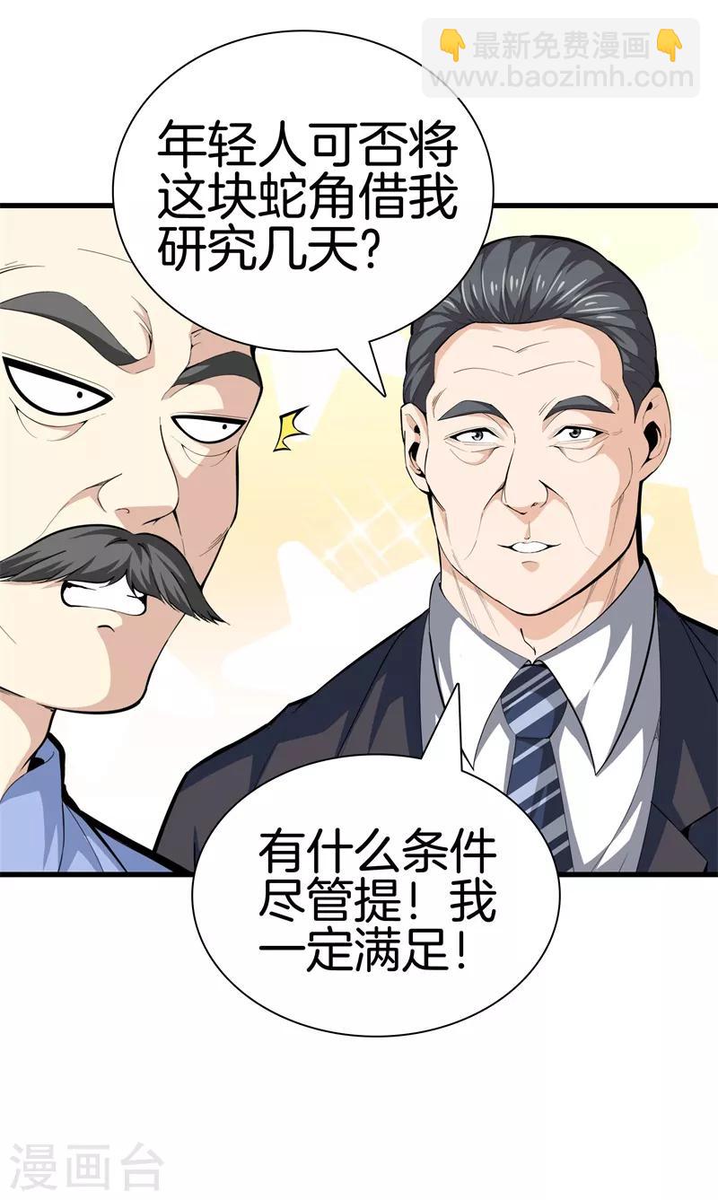 🍼都市至尊 第85话 无价之宝 第18页
