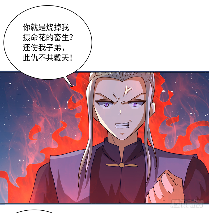 🍼都市至尊天师 赵凡VS杨家老祖 第4页