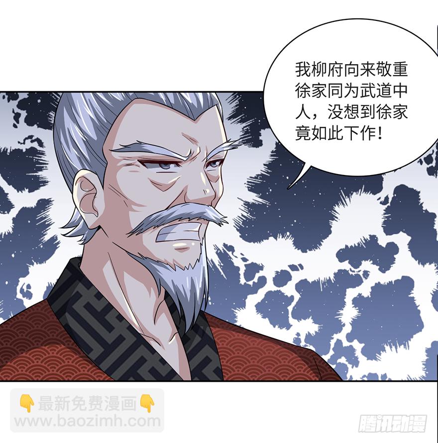 🍼都市至尊天师 柳家贺寿 第28页