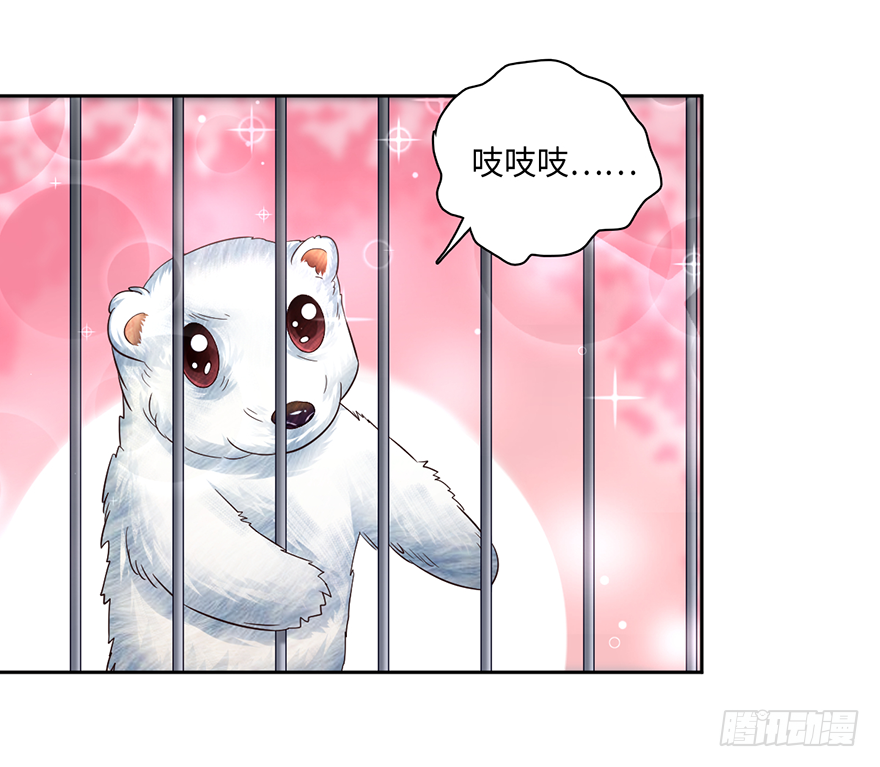 🍼都市至尊天师 武尊令牌？老子不屑 第28页