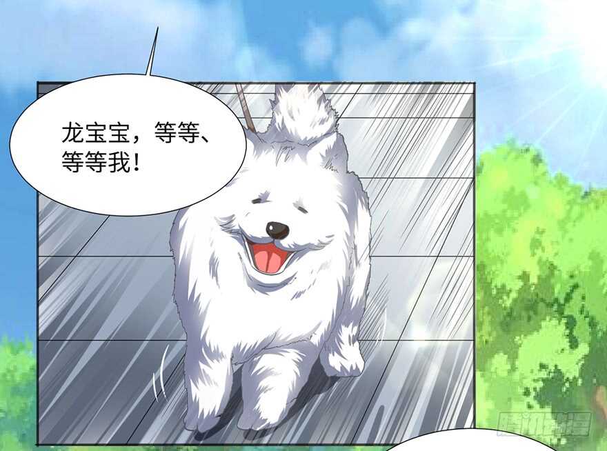 🍼都市至尊天师 二哈龙宝宝 第15页