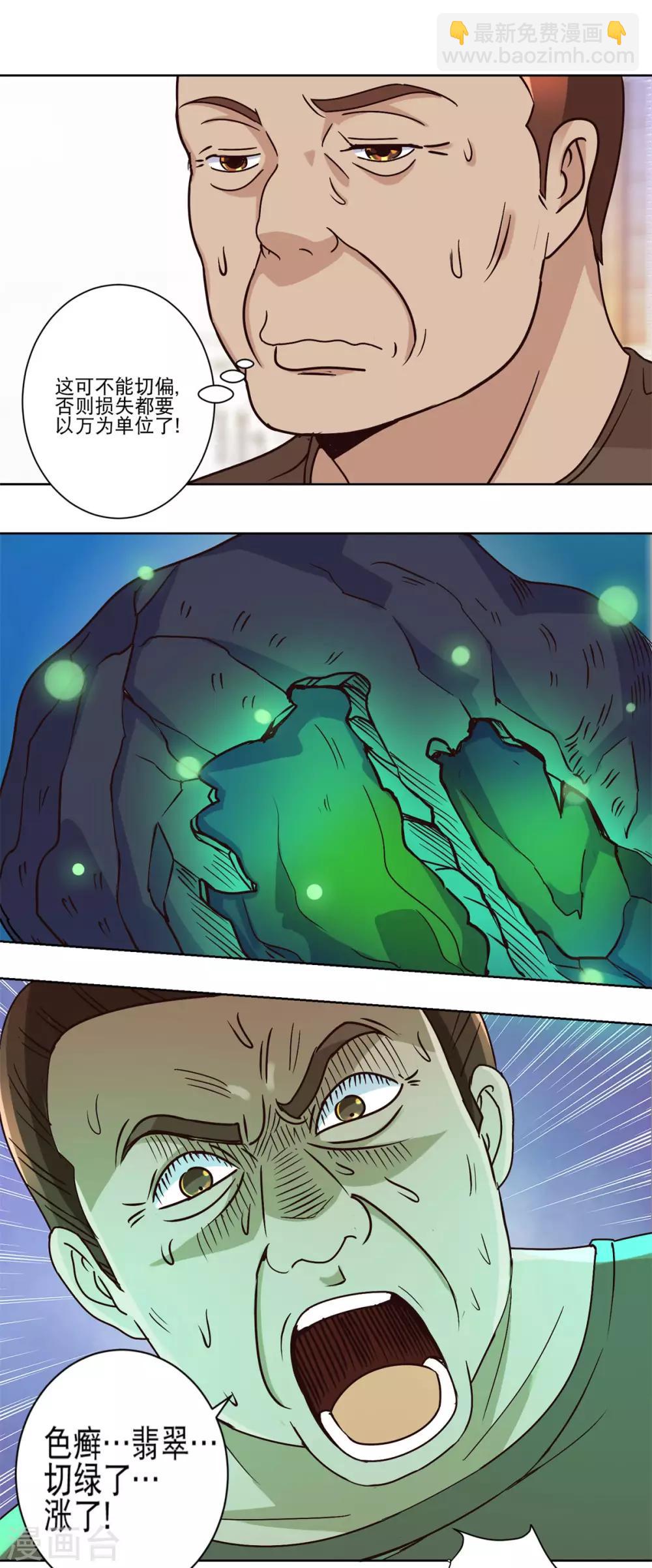 🍼都市至尊系统 第38话 切出冰种祖母绿! 第11页