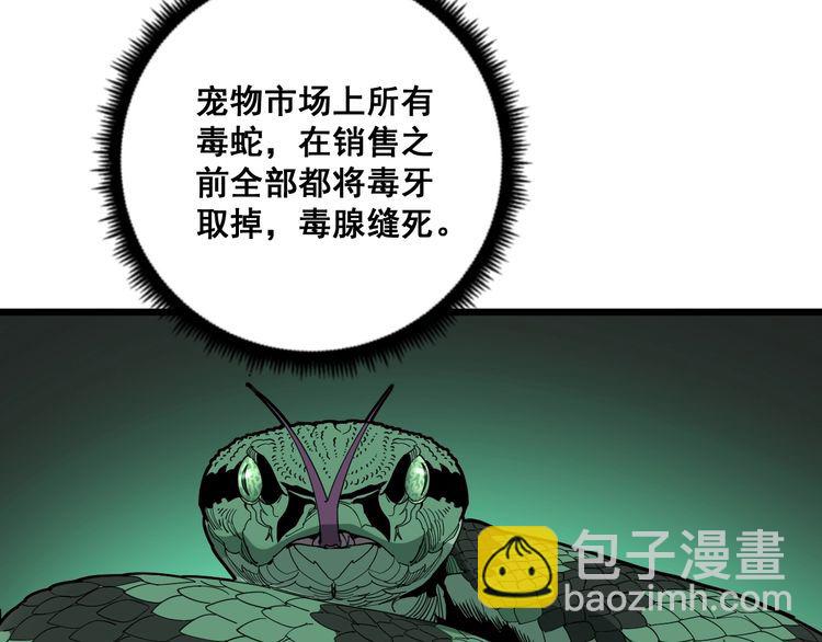 第101话 教练我想踢足球！(1/4)-第102话