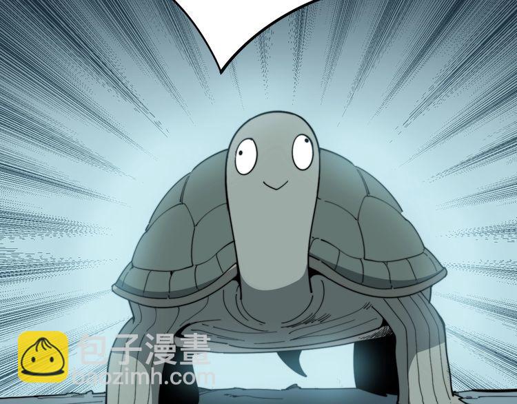第127话 巴西小乌龟(1/3)-第128话