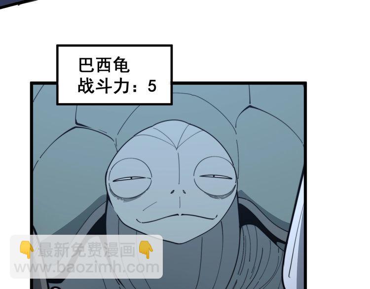 第127话 巴西小乌龟(1/3)-第128话
