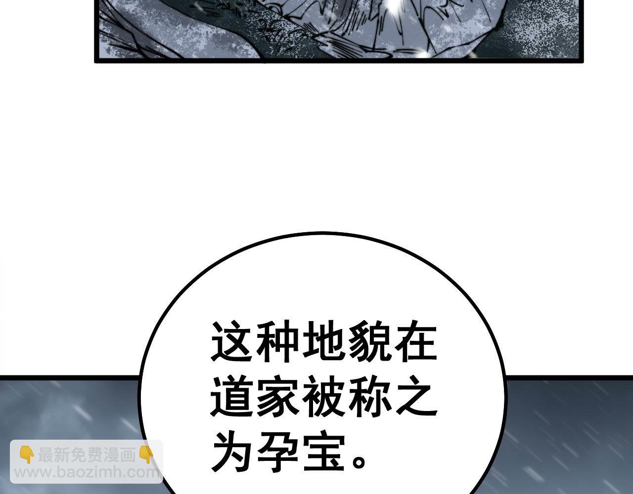第295话 雪花飘飘(1/3)-第296话